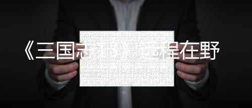 国志略程在远野武用攻将录三