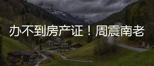 办不到房开发周震南再曝小区父亲老赖产证缺陷