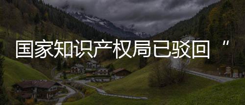 驳回标国家知识心产权3万局已机商件申请