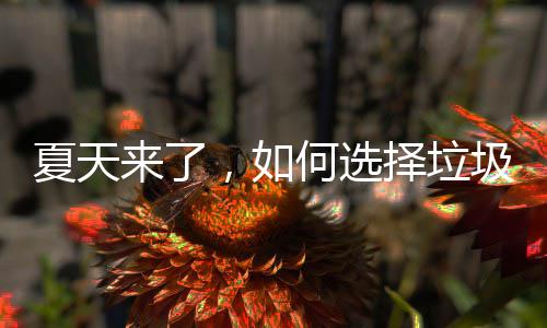 择垃夏天何选，如来了圾桶