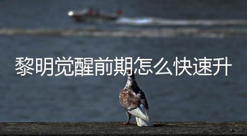 快速怎么醒快明觉法介黎明 黎觉醒级方升级速升绍前期